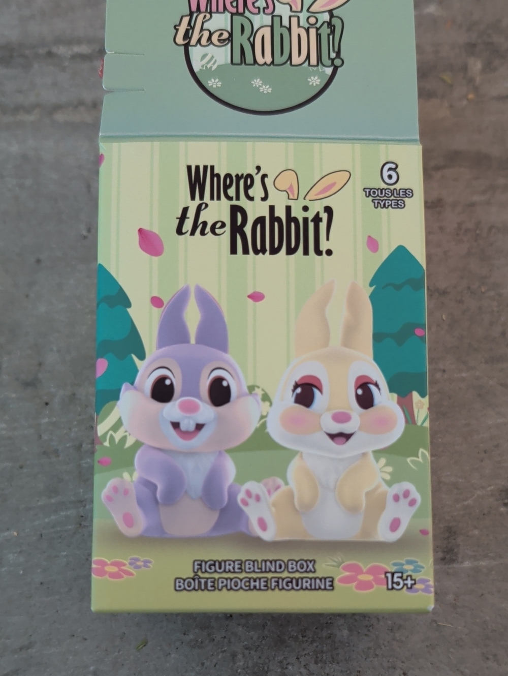 Where's the Rabbit? Blind Box Winnie The Pooh
